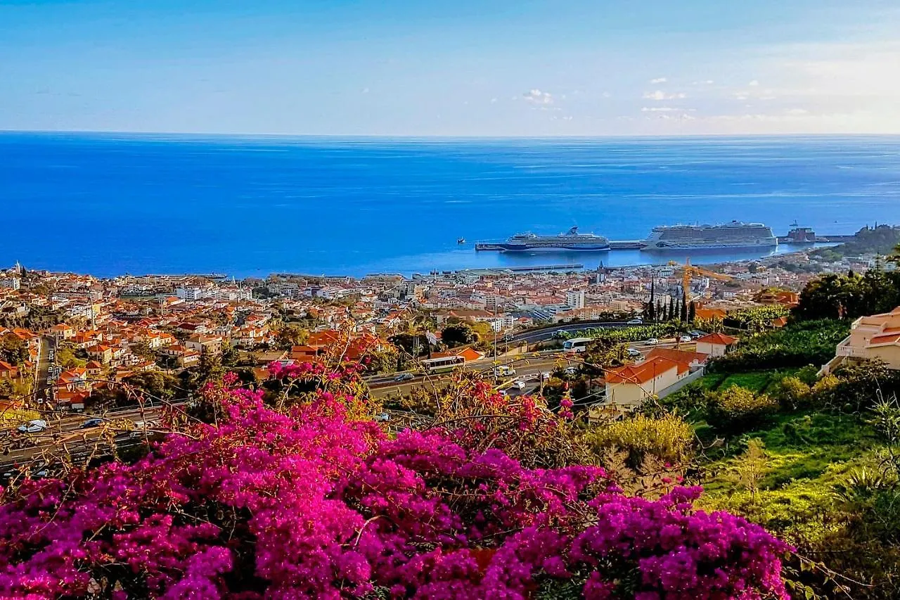 Ourmadeira - Grandview, Contemporary Lägenhet Funchal  0*, Funchal (Madeira)